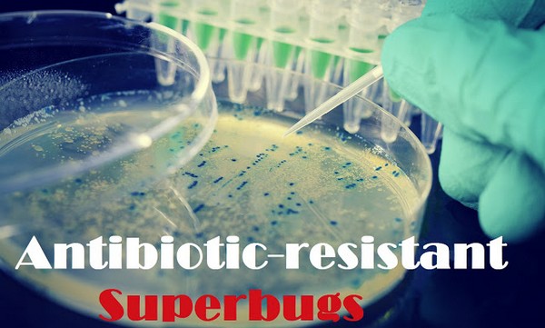 Superbugs-Antibiotic-Resistent_tn-1.jpg